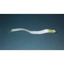SAMSUNG HDMI Connector 080917A06-N / LN46A530P1F