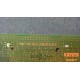 SONY Carte Tuner TUU2 1-874-137-22, A-1269-502-A, 1-728-810-22 / KDL-52W3000