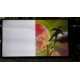 SAMSUNG Carte Main/Input BN94-07848A, BN97-08781E, BN41-02245A / UN50H5203AF